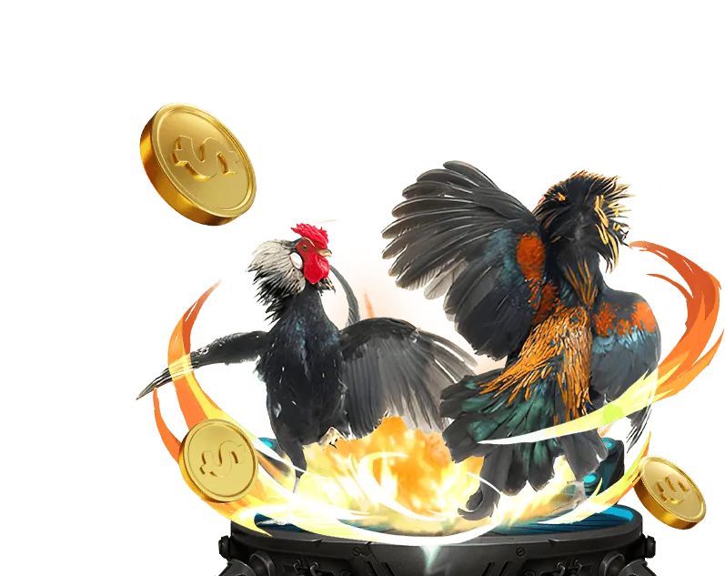 Đăng ký tài khoản đá gà Thomo