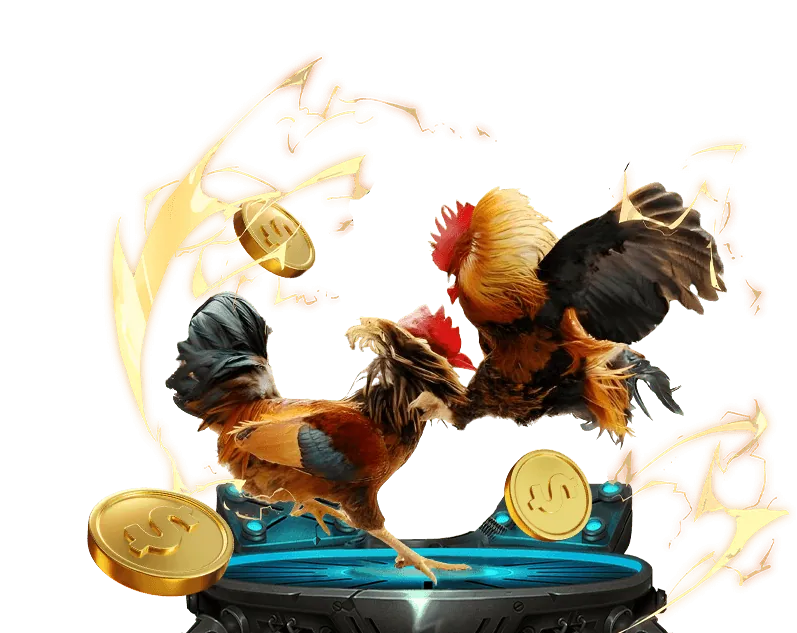 Biểu đồ giải thích các quy tắc đá gà Thomo chi tiết